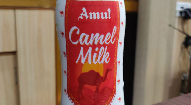 Amul launches camel milk in select markets – Newzli.com