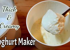 6 Yogurt Makers That Make Thick and Creamy Curd 